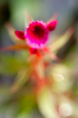 D3S_7899