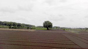 IMG_20160616_081610