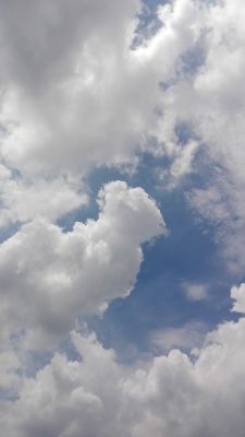 IMG_20160803_114452