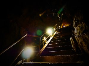 img_6209